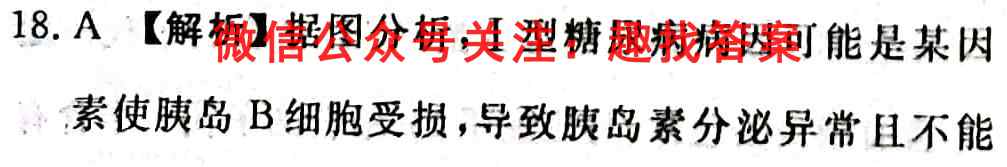 湖南省桃源县第一中学2022年下学期高三期中考试生物