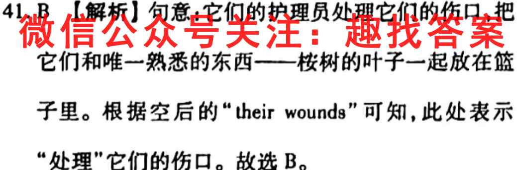 衡中同卷 2022-2023高考分科综合测试卷 新教材/新高考(1一)英语