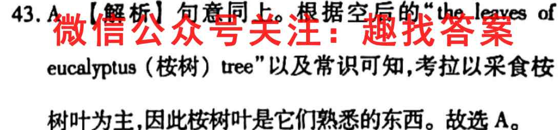 2023届陇西二中高三级第三次质量检测试题(233159D)英语