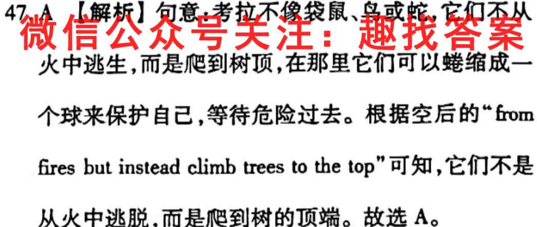 福建三明市五校2022-2023学年高二第一学期期中联考英语