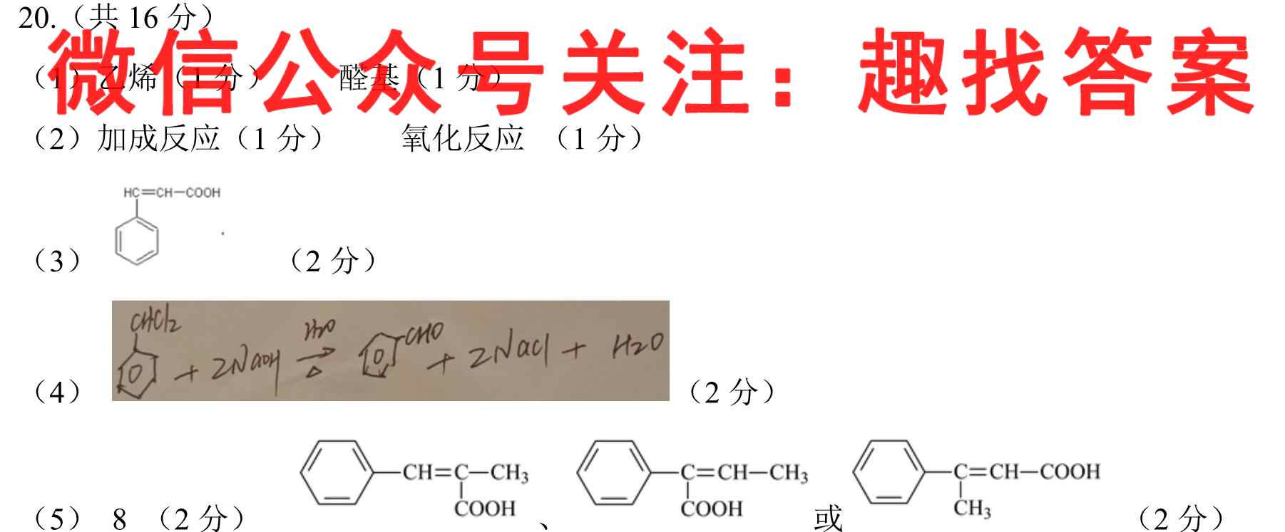 衡中同卷 2022-2023学年度上学期高三年级期中考试(新高考/新教材版)化学