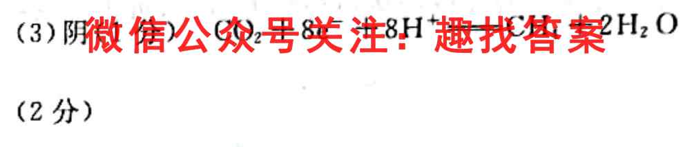 2023届金学导航 内参卷 D区专用(1一)化学