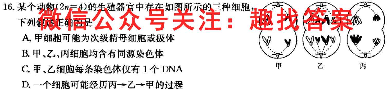 2023全国新高考模拟信息卷XX(六)生物