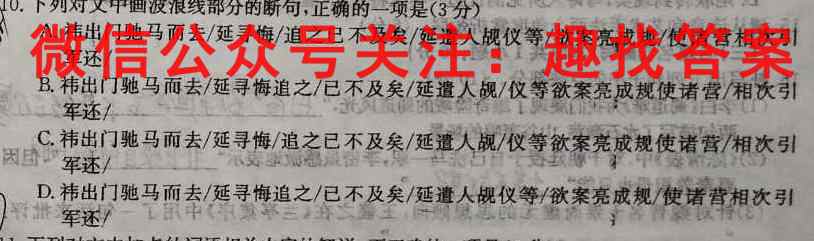 2023届新高考模拟01语文