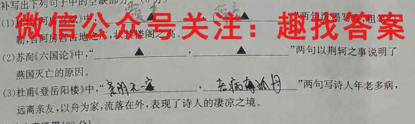 2023届高三总复*·XS3名师原创模拟(十)10语文