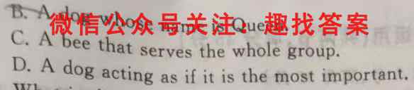 河南省2022-2023学年高三全国重点高中新百年竞优联考英语试题