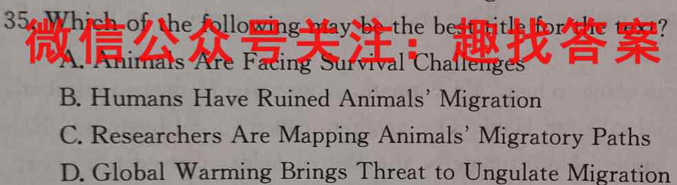 神州智达2023年普通高等学校招生全国统一考试(调研卷Ⅱ)英语