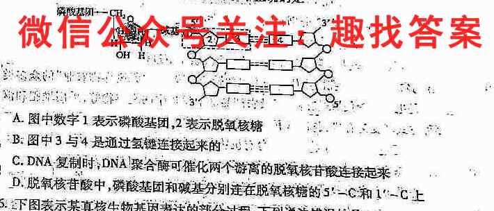 山东省枣庄三中2022~2023学年度高一第一学期期中生物