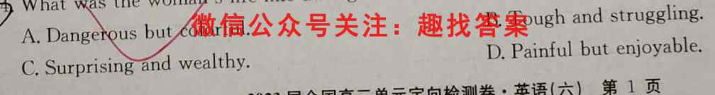 九师联盟2022-2023高二11月联考英语