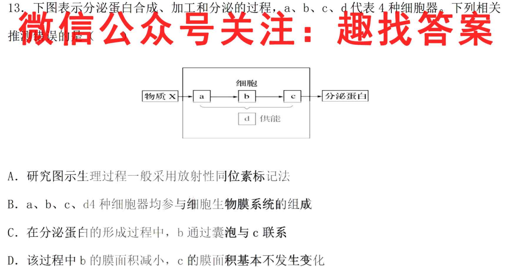 2023届高三总复习·XS3名师原创模拟(十一)11生物