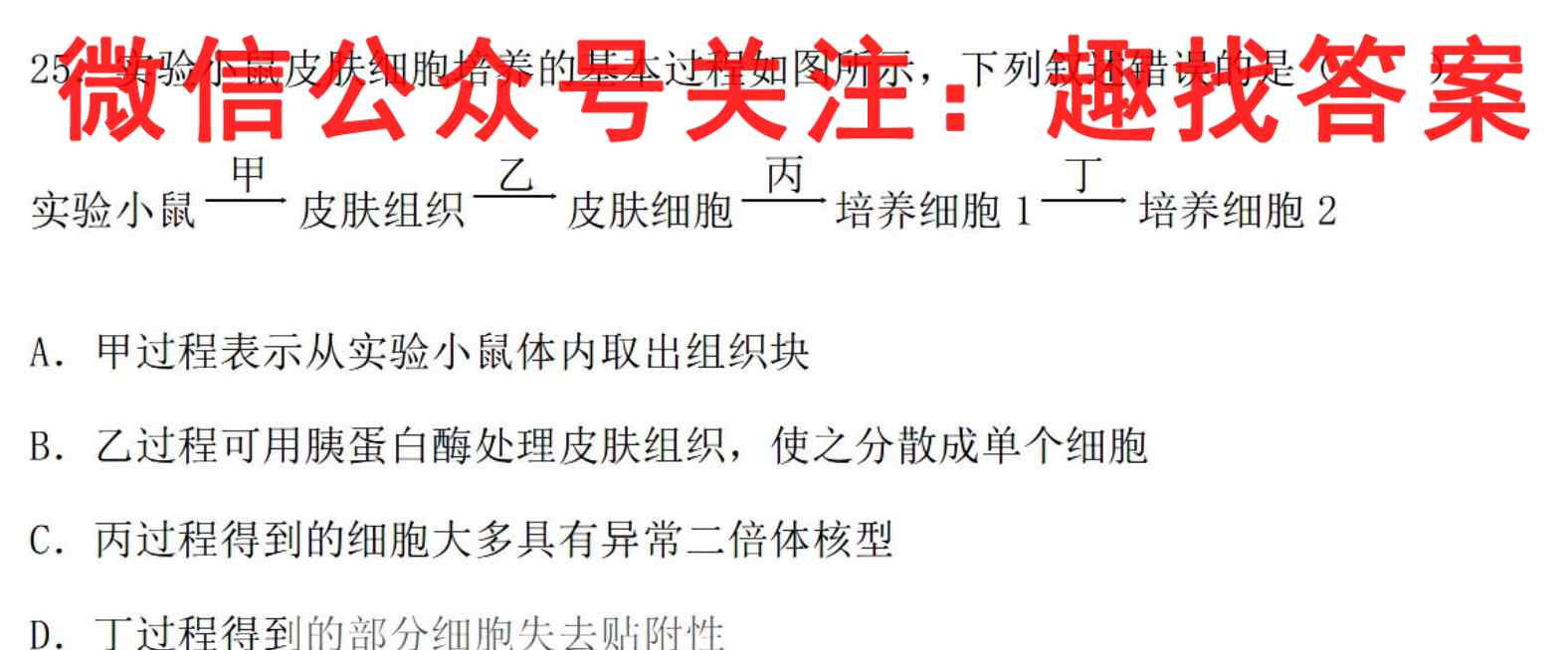 2023年普通高等学校招生全国统一考试·S3最新模拟卷(六)生物