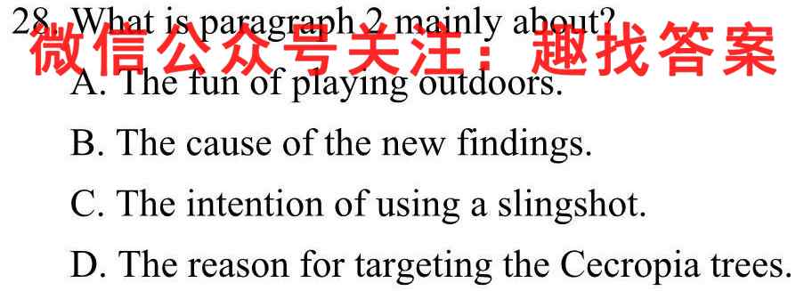 2023衡水金卷先享题调研卷全国乙卷B英语试题