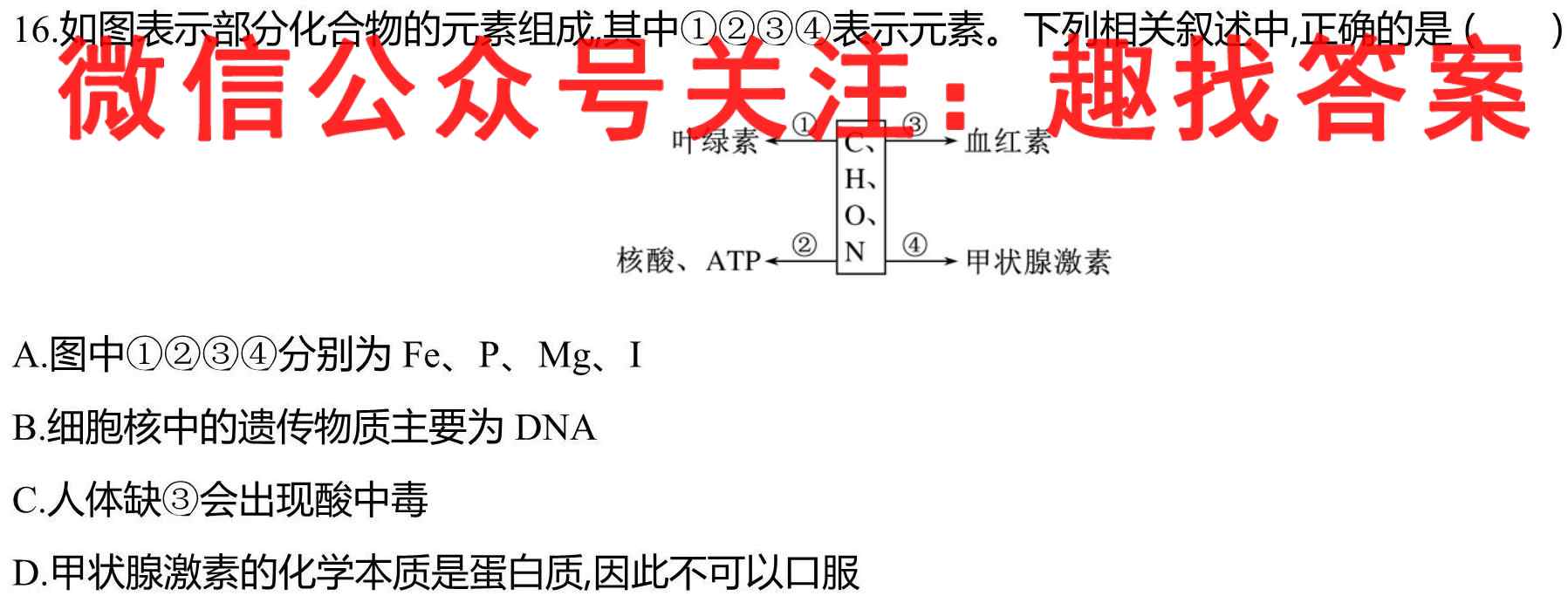 四川省2022-2023学年树德中学高2022级高一上学期期中测试生物