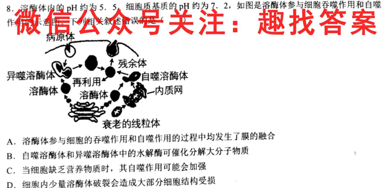 2023届高三总复习·XS3名师原创模拟(十)10生物