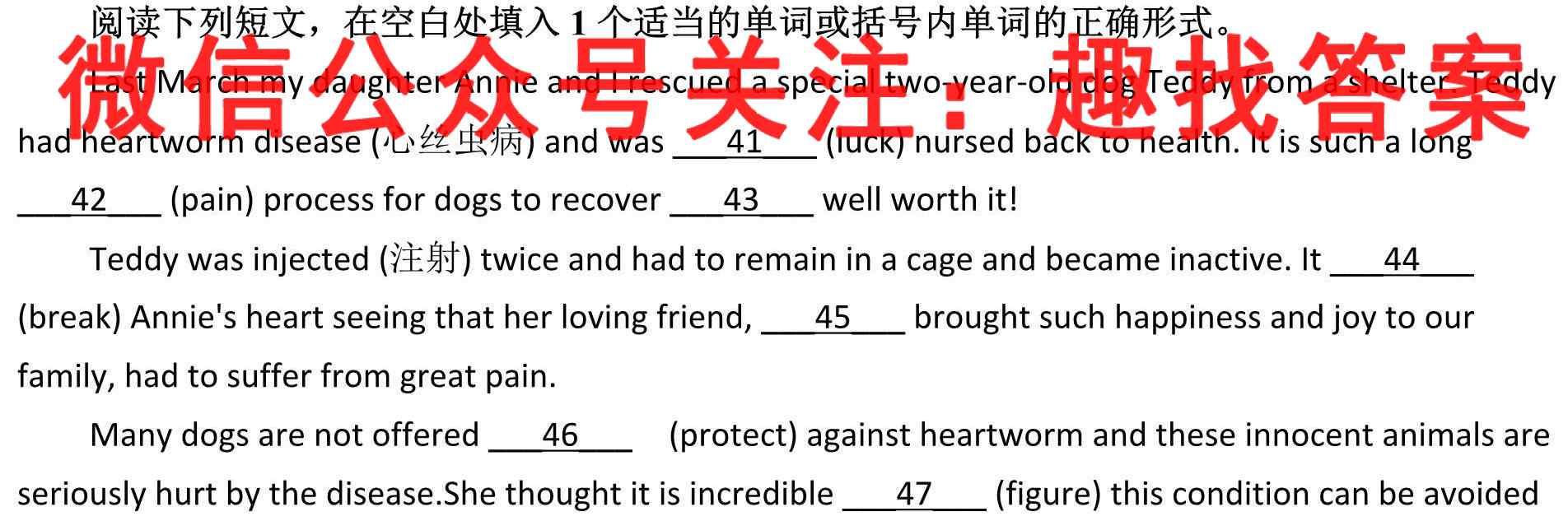 2023届高考单科模拟检测卷(2二)英语