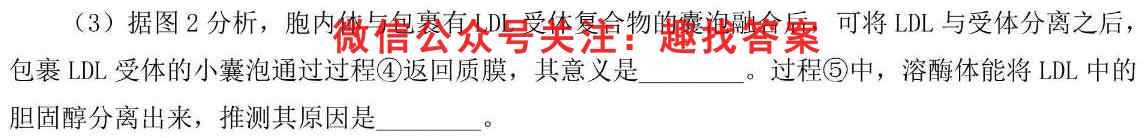 2023年普通高等学校全国统一模拟招生考试 高三新未来元月联考生物试卷答案