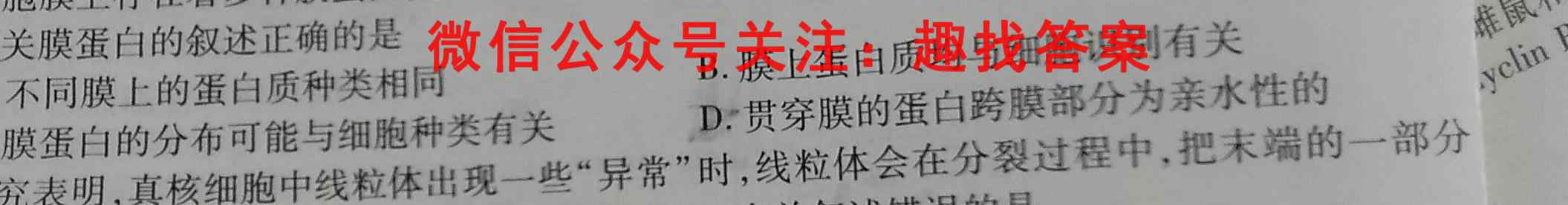 名校大联考2023届·普通高中名校联考信息卷(月考四)生物试卷答案