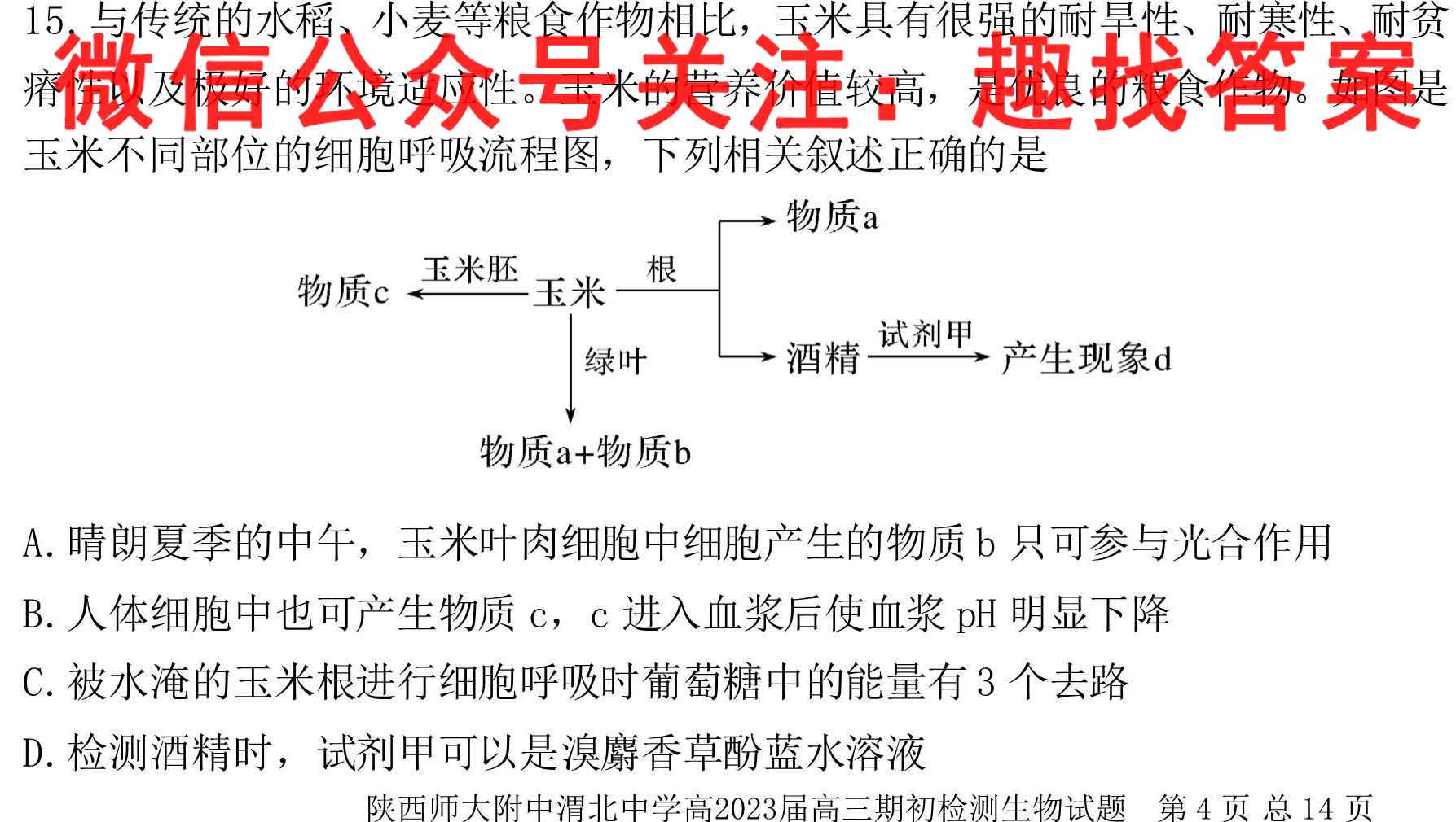 2023届高考信息检测卷(新高考)三3生物试卷答案