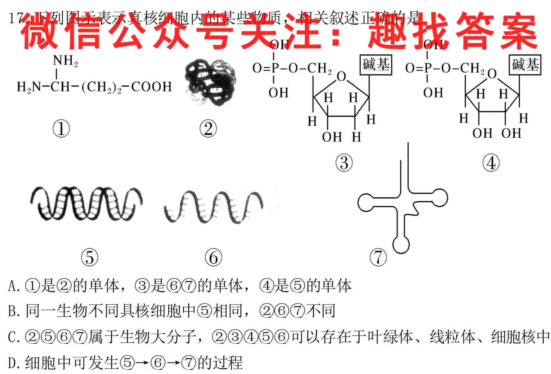 银川一中2022-2023(上)高二期中考试生物