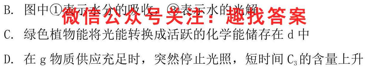 2022-2023学年湖南省高二试卷11月联考(23-126B)生物