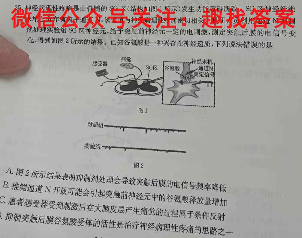 山东省济宁市2022-2023学年高三上学期期中考试生物