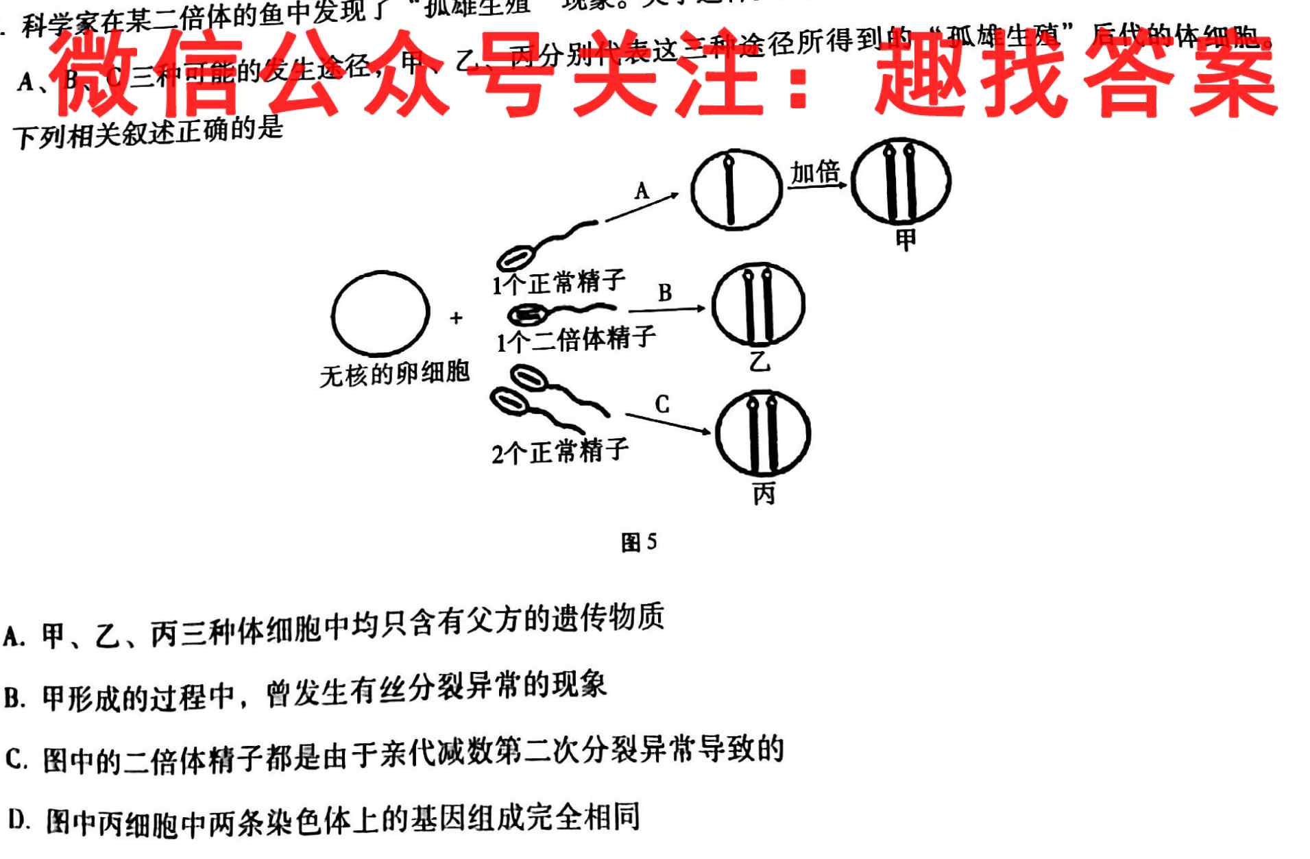衡水名师卷 2023年辽宁名校联盟·调研卷(一)1生物试卷答案