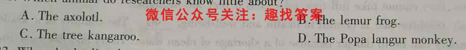 2023届先知月考卷(四)英语