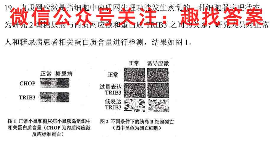 2023考点通·高考综合试卷(二)2生物