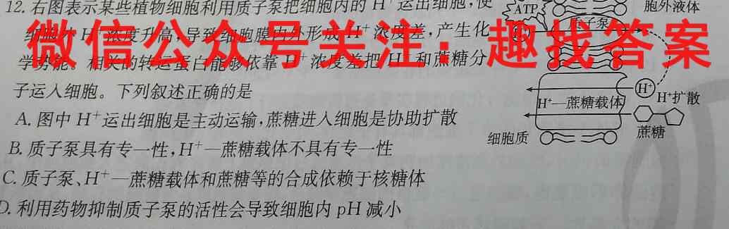 2023普通高等学校招生全国统一考试内参模拟测试卷 新高考(四)4生物