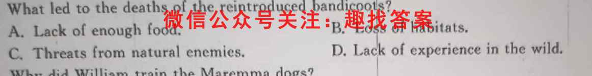 2023届炎德英才大联考高三月考试卷三(全国卷)英语