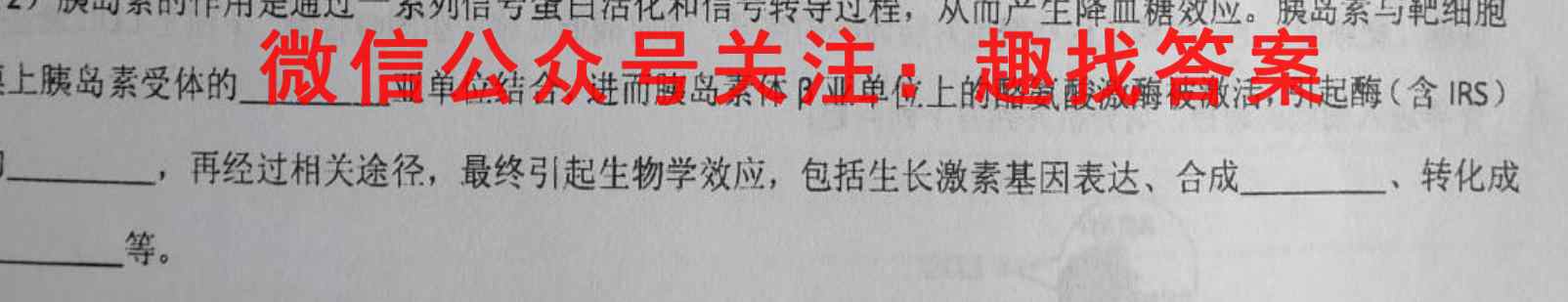 2023全国新高考模拟信息卷XX(四)生物