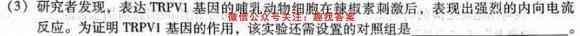 2023年普通高等学校招生统一考试新S3·最新模拟卷(七)生物