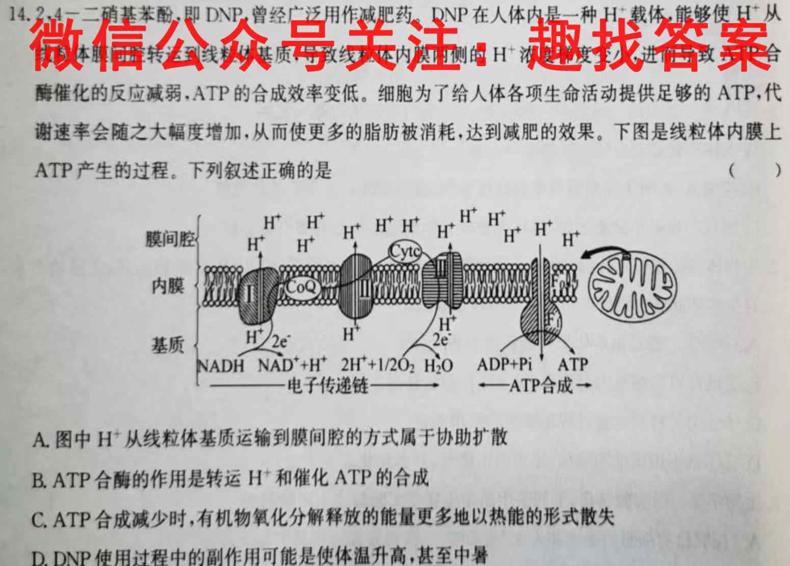 2023年普通高等学校招生统一考试模拟信息卷S3(一)1生物
