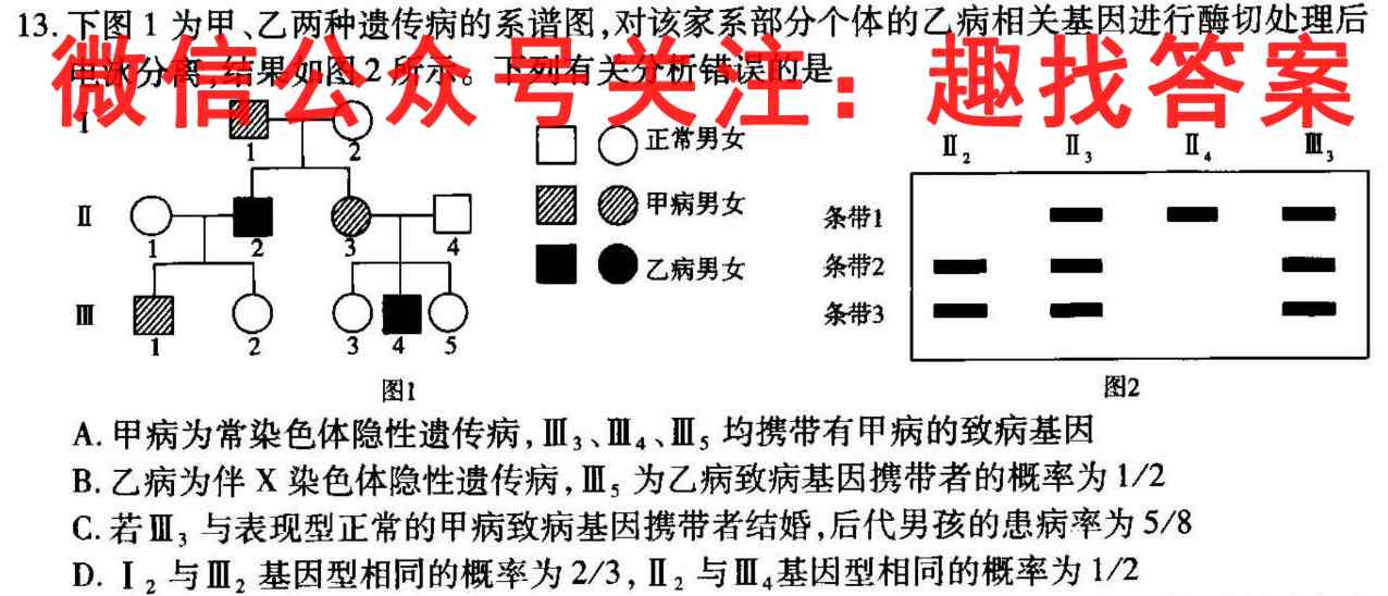 陕西省2022-2023九年级第一学期第二阶段检测试题(卷)生物