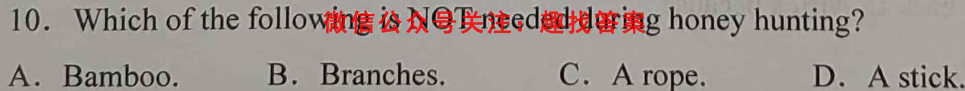 辽宁省2022~2023学年度上学期高二10月联考试卷(232072D)英语