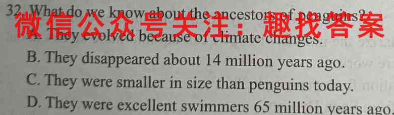 2023年普通高等学校招生全国统一考试 23新教材老高考·JJ·FZMJ 金卷仿真密卷(1一)英语