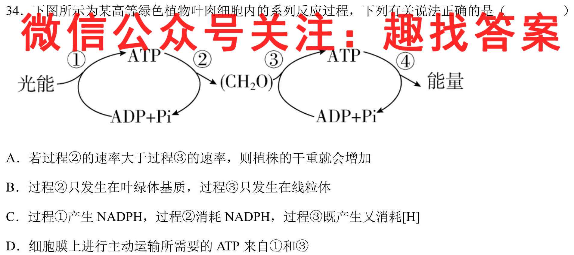 江西省2022-2023学年高二年级上学期12月调研测试生物