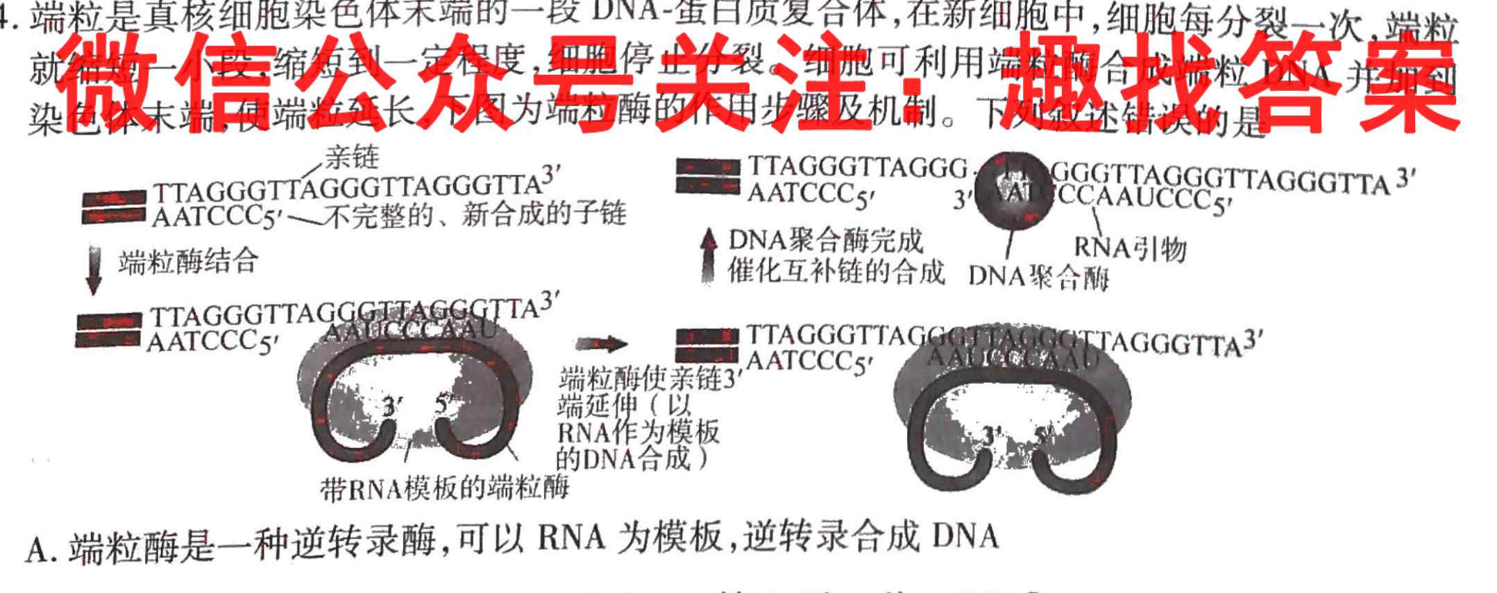天一大联考2022-2023学年高二阶段性测试2(二)生物