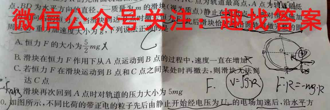 2023年湖北省孝感市高一下学期收心考试物理