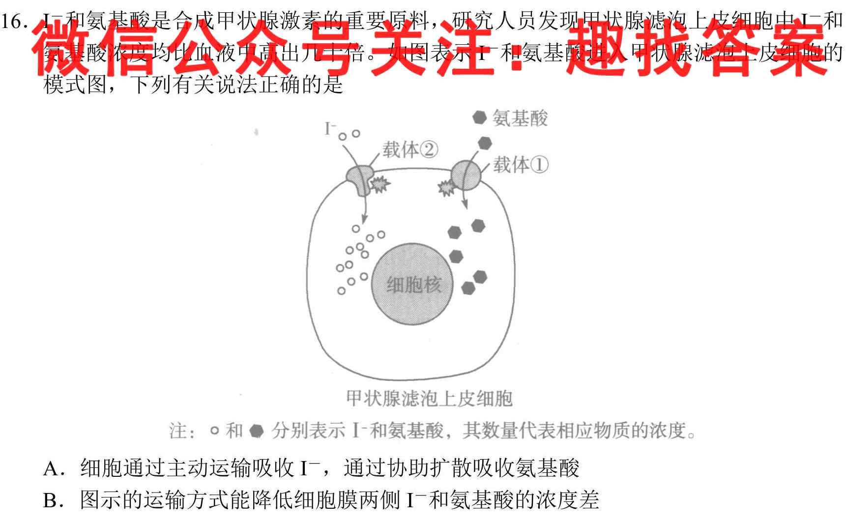 2023年普通高等学校招生统一考试新S3·最新模拟卷(九)生物
