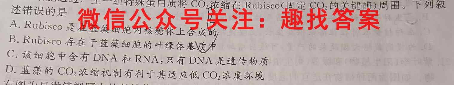非凡吉创·2022-2023学年高三TOP二十名校十二月调研考生物