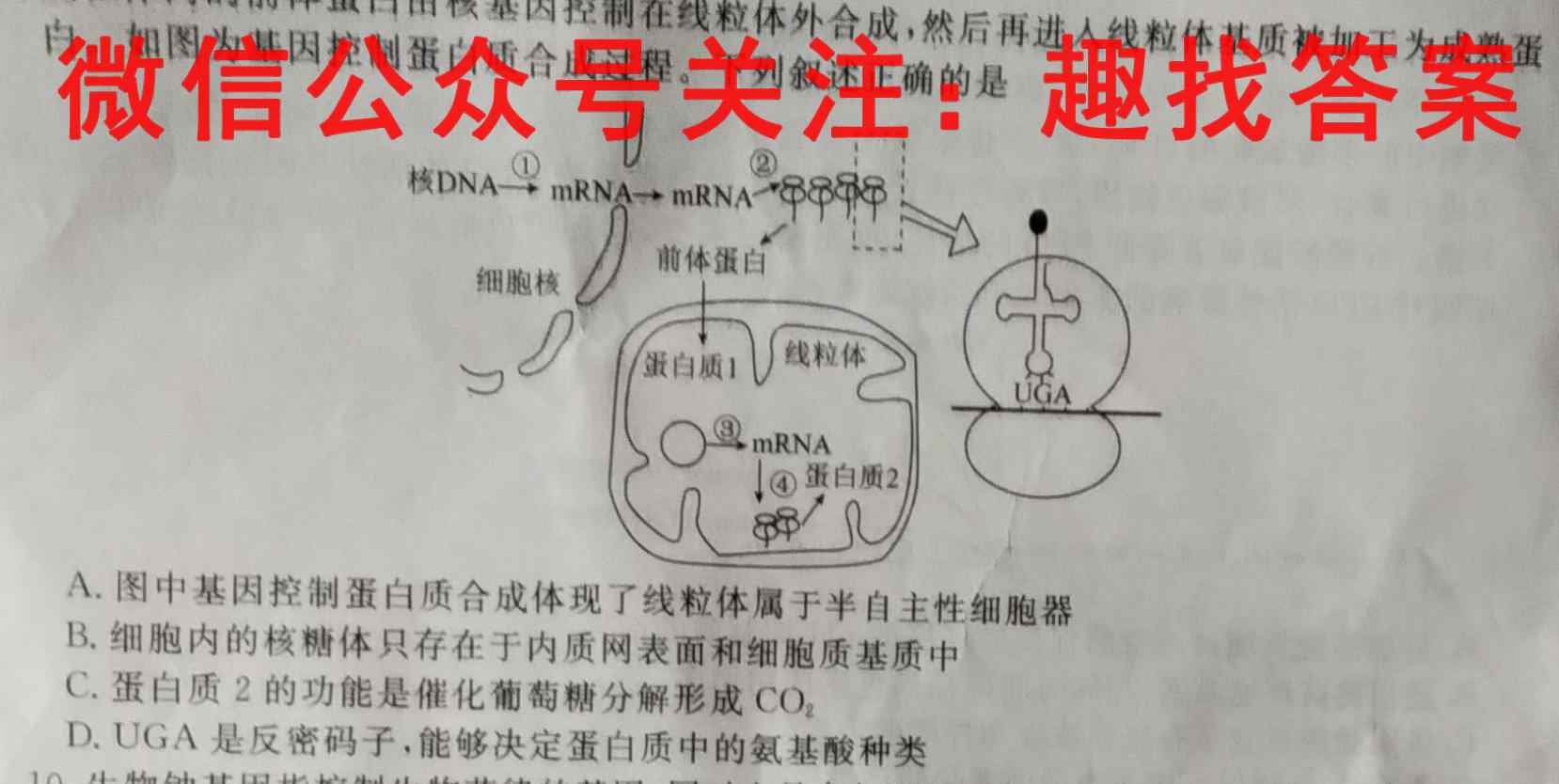 2022-2023学年四川省高一试题12月联考(标识✿)生物