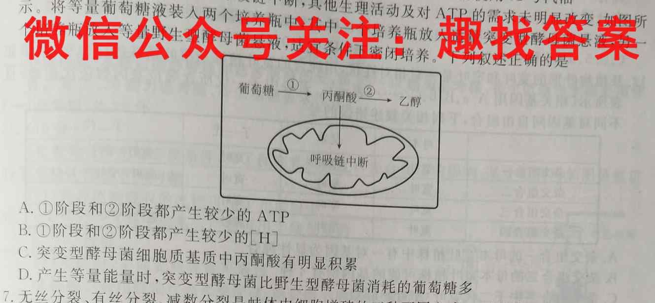 天一大联考·皖豫名校联盟2022-2023学年(上)高一阶段性测试(二)生物