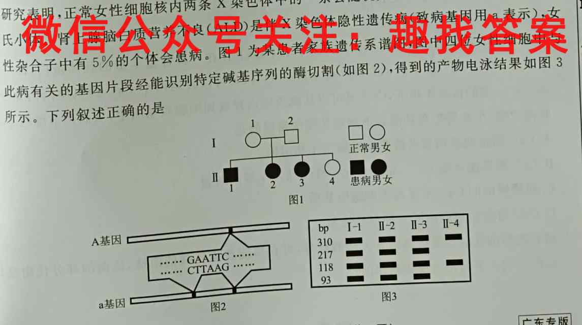 安徽省2022-2023学年度上学期当涂一中高一12月月考生物
