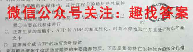 华大新高考联盟2023届高三11月教学质量测评(新教材卷)生物