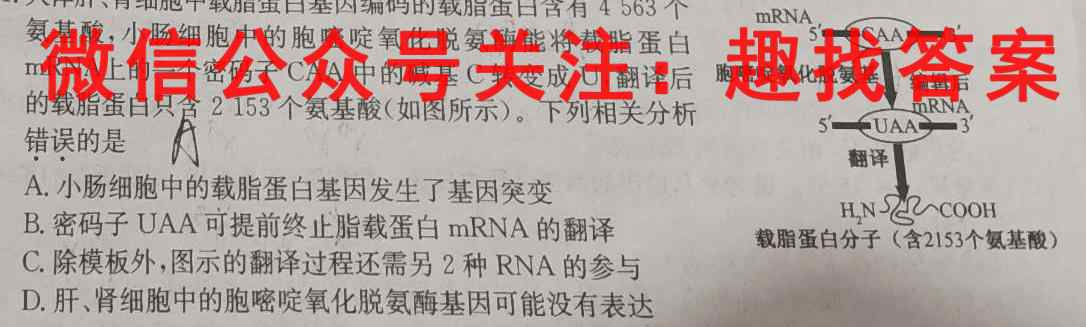 山西省2022~2023九年级阶段评估(C)R-PGZX E SHX(三)3生物