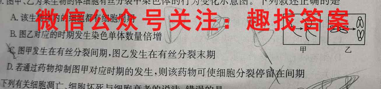 河南省南阳一中2023年春期高三年级开学考试生物试卷答案