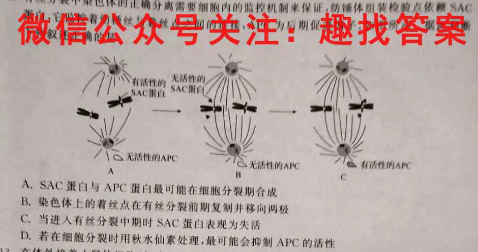 2023年衡水金卷先享题 分科综合卷 全国卷(二)2生物试卷答案