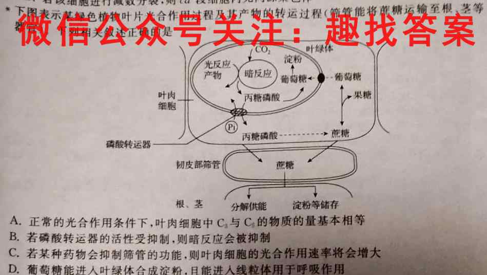 2022-2023学年新乡市高一选科调研第二次测试(23-238A)生物试卷答案