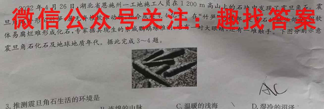 江西省2022-2023学年度九年级阶段性练习(3三)地理